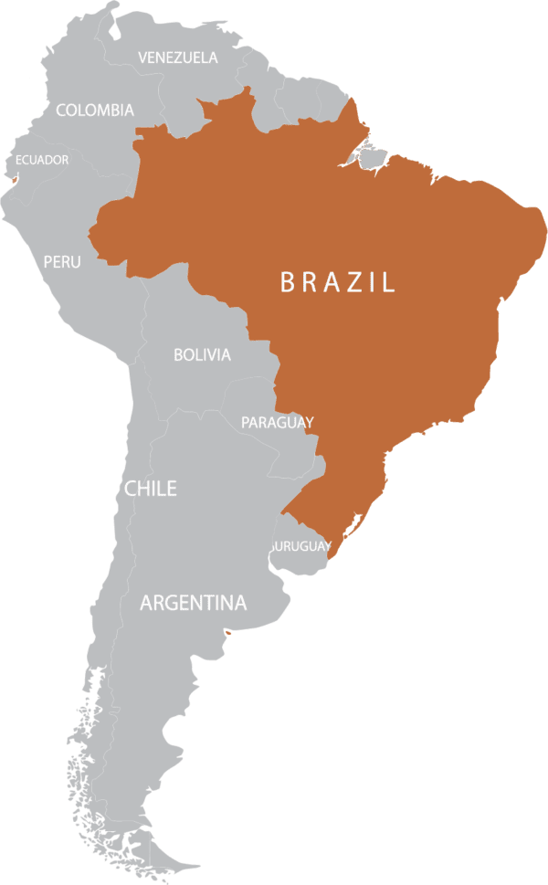 Tierra Brasile 1kg